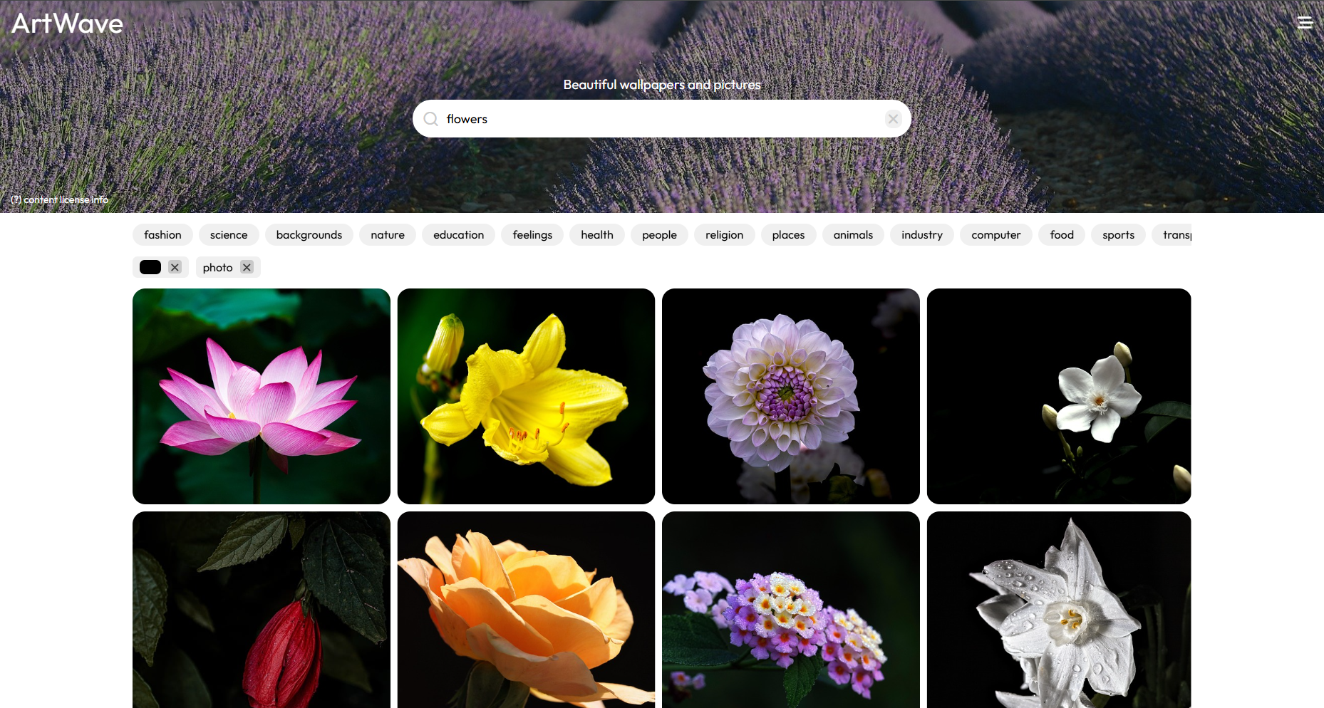 Image Search